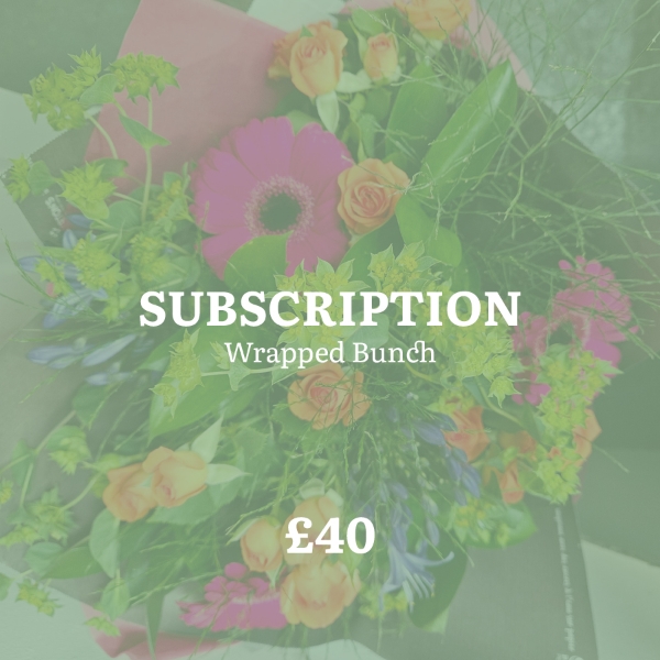 Indulgent Wrapped Bunch Subscription