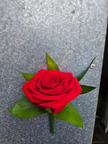 Buttonholes