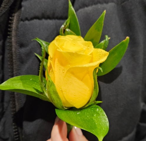 Buttonholes